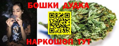 дживик Кандалакша
