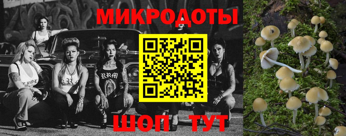 Кудрово  Псилоцибиновые грибы MAGIC MUSHROOMS  где купить наркоту  Вход с VPN 